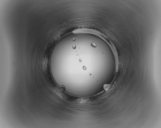 X0000116350660200912091131