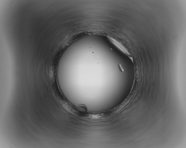 X0000116350662200912091131