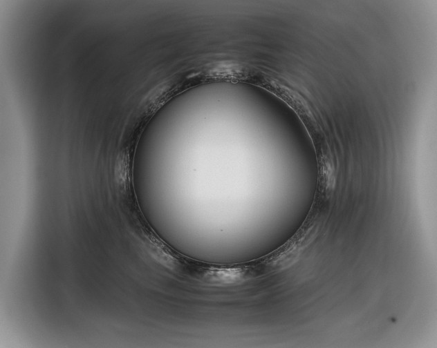 X0000116350665200912091131