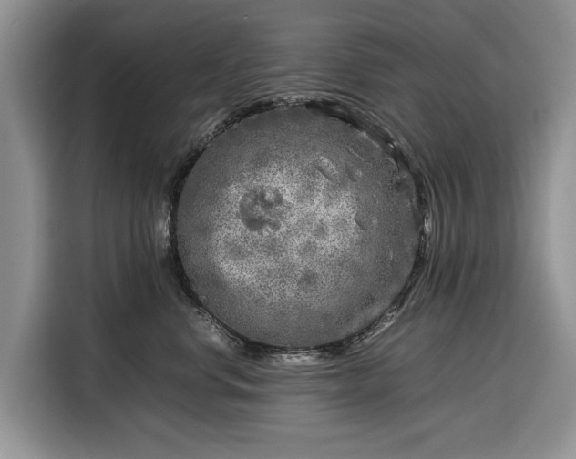 X0000116350668200912091131