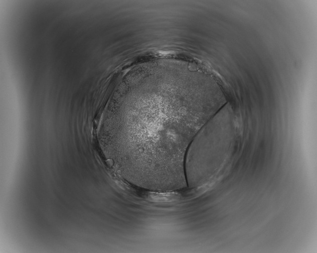 X0000116350671200912091131