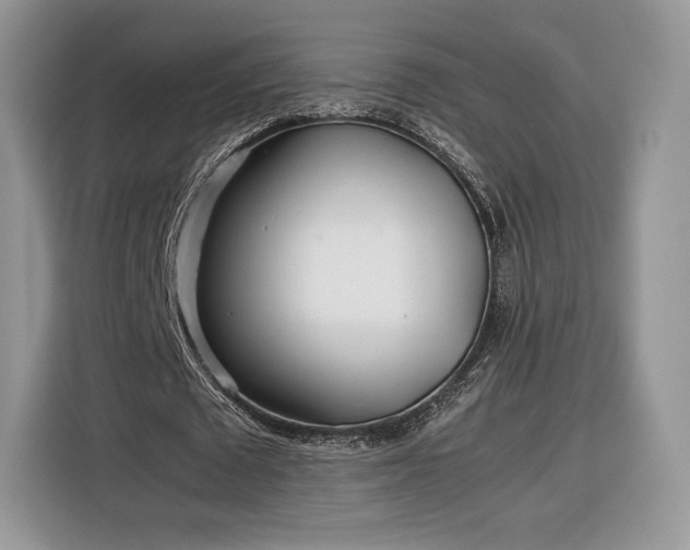 X0000116350673200912091130