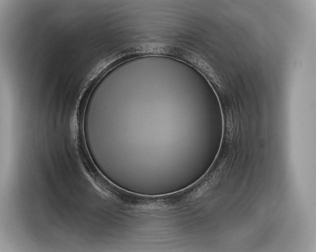 X0000116350674200912091130