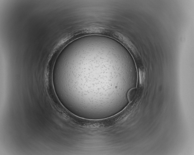 X0000116350675200912091130