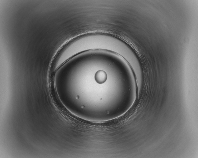 X0000116350676200912091130