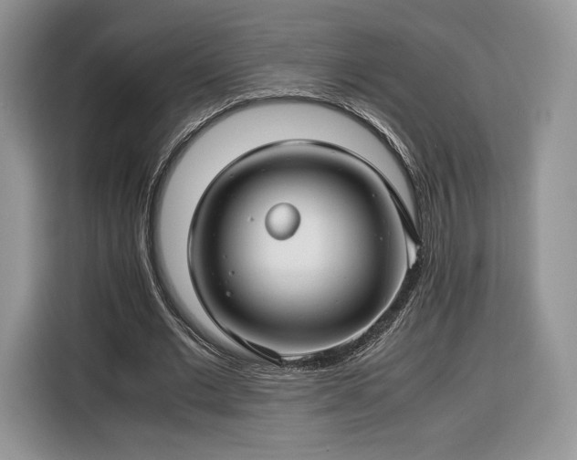 X0000116350677200912091130