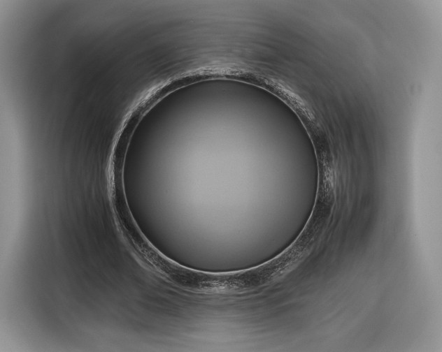 X0000116350678200912091130