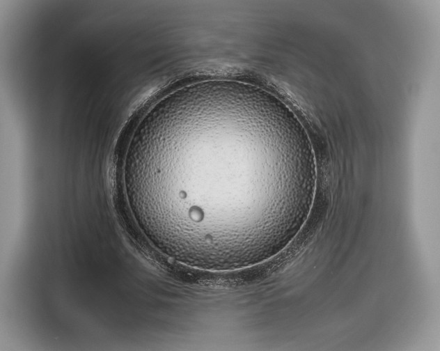 X0000116350679200912091130