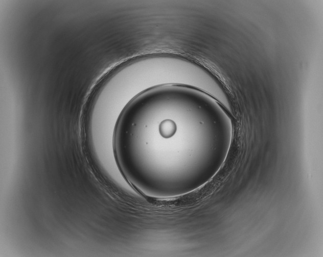 X0000116350680200912091130