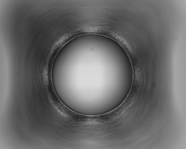 X0000116350682200912091130