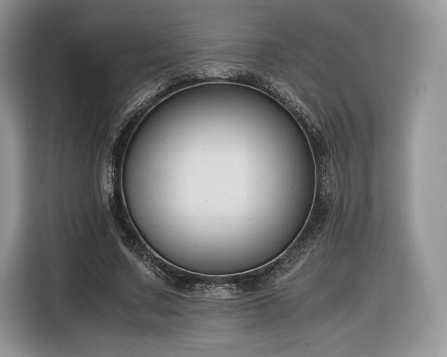 X0000116350683200912091130