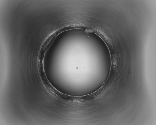 X0000116350684200912091130