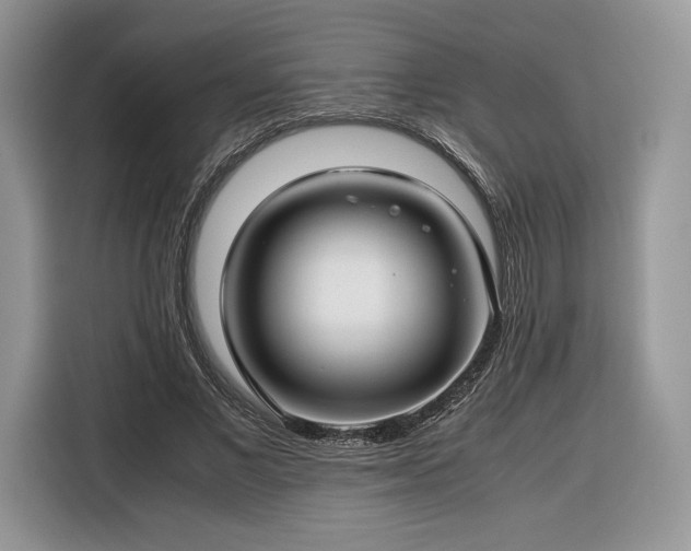 X0000116350685200912091130