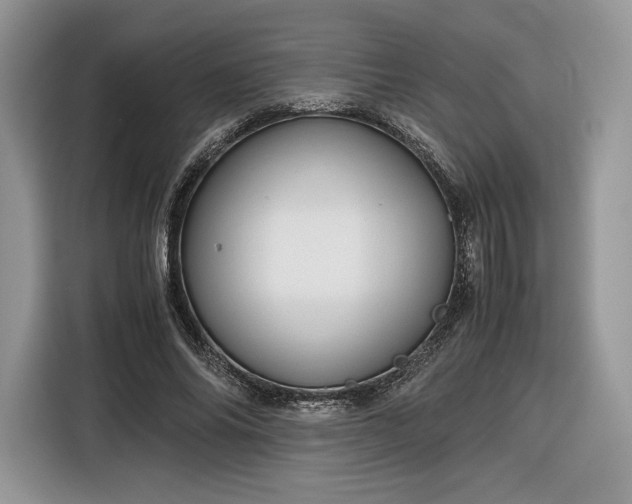 X0000116350686200912091130