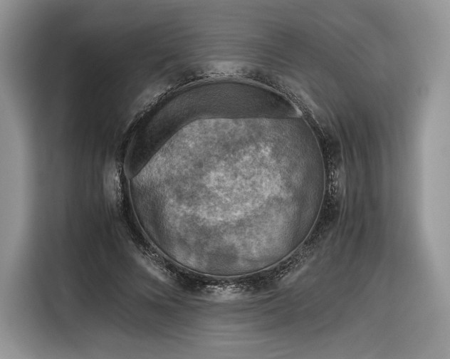 X0000116350688200912091130