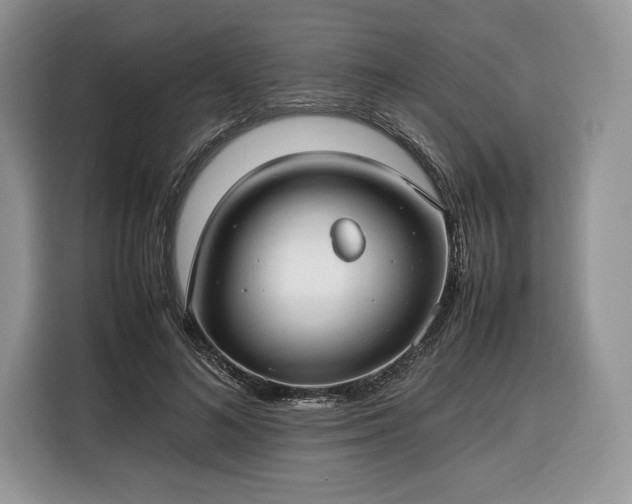 X0000116350692200912091130