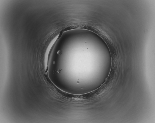 X0000116350693200912091130