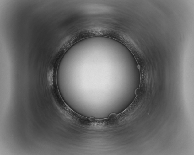 X0000116350694200912091130