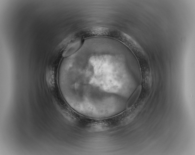 X0000116350696200912091130