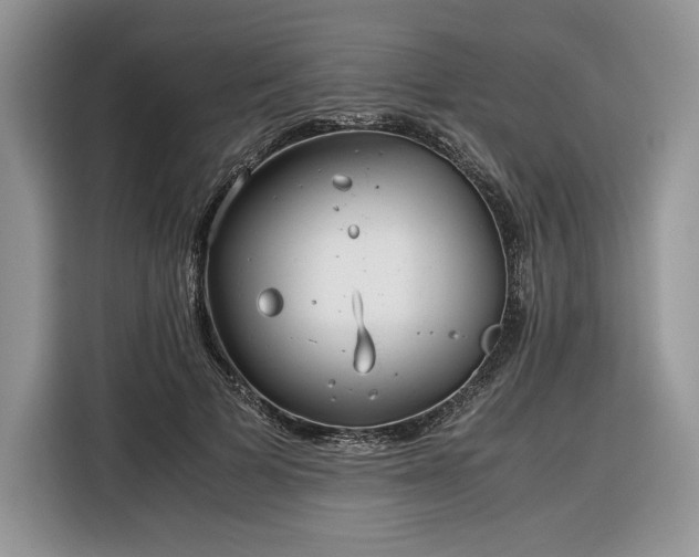 X0000116350697200912091130