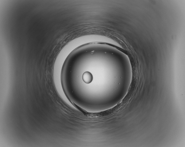 X0000116350701200912091130