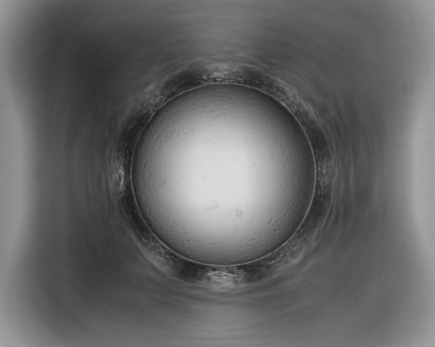 X0000116350703200912091130