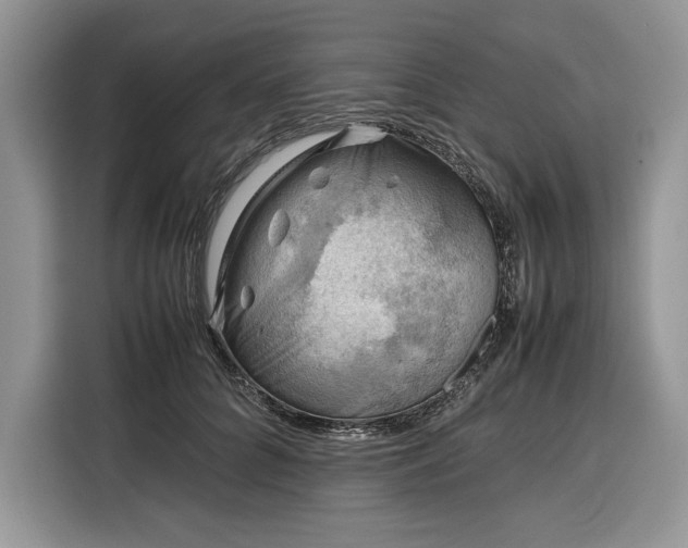 X0000116350704200912091130