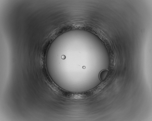 X0000116350710200912091130