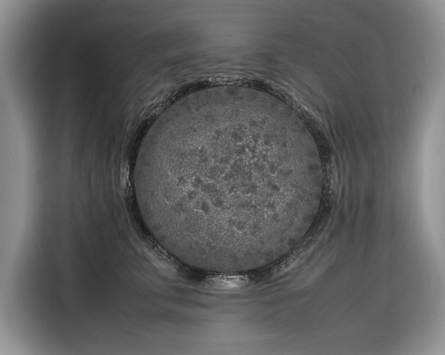 X0000116350711200912091130