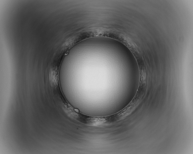 X0000116350719200912091130