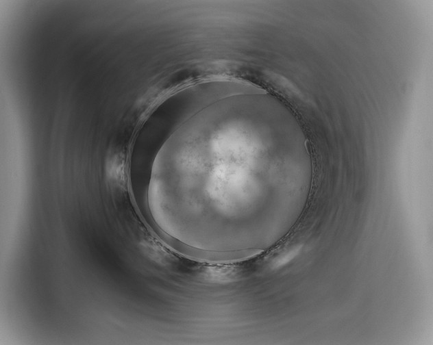 X0000116350720200912091130