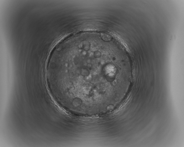 X0000116350721200912091129