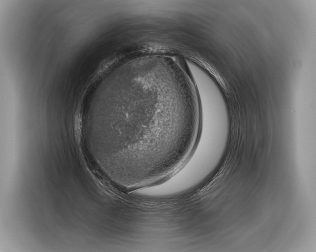 X0000116350722200912091129