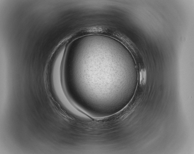 X0000116350723200912091129