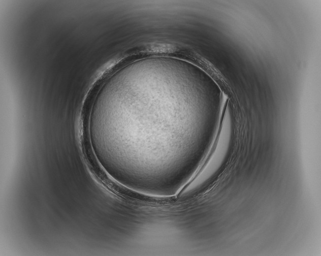 X0000116350726200912091129