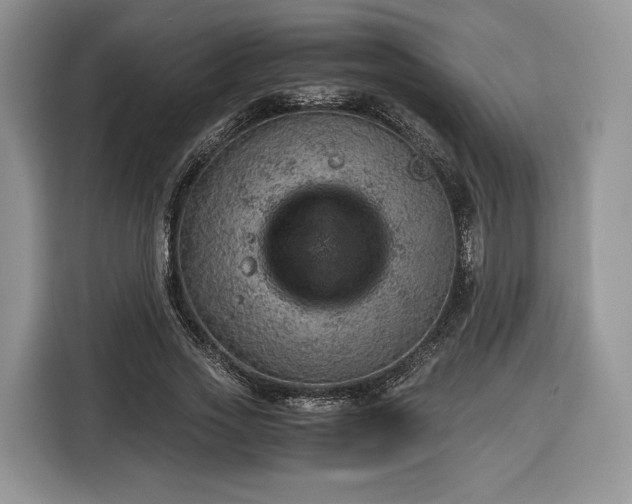 X0000116350733200912091129