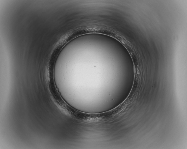 X0000116350734200912091129