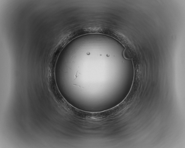 X0000116350739200912091129