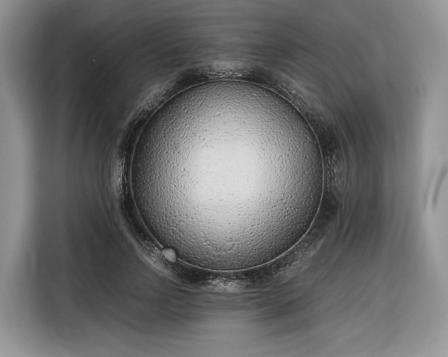 X0000116350742200912091129