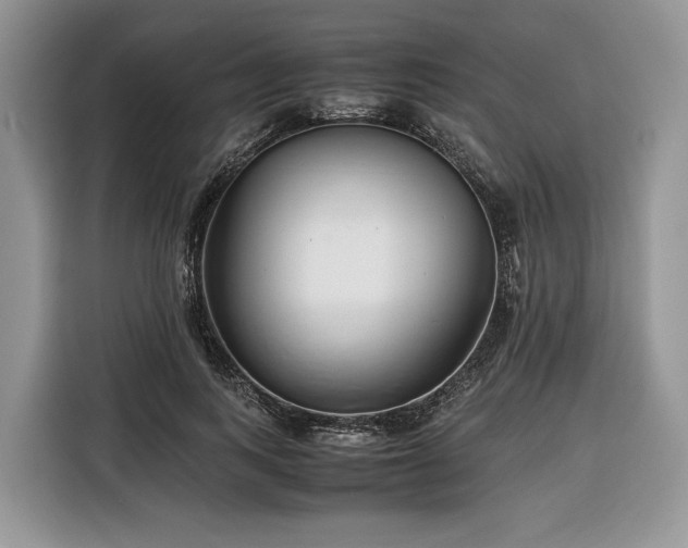 X0000116350743200912091129