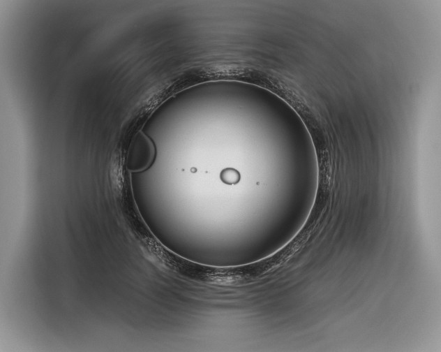 X0000116350746200912091129