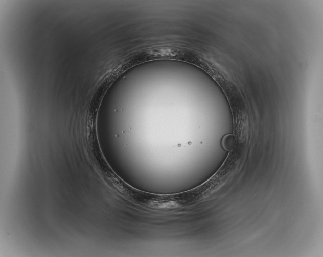 X0000116350747200912091129