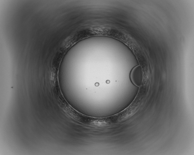 X0000116350749200912091129