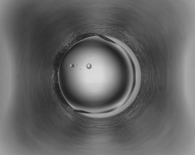 X0000116350750200912091129