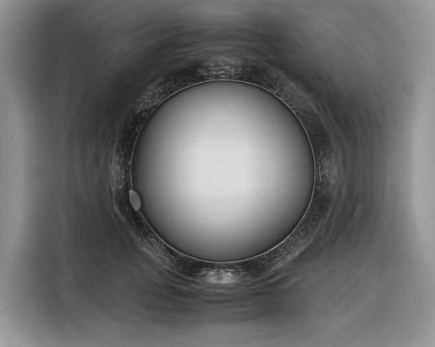 X0000116350751200912091129