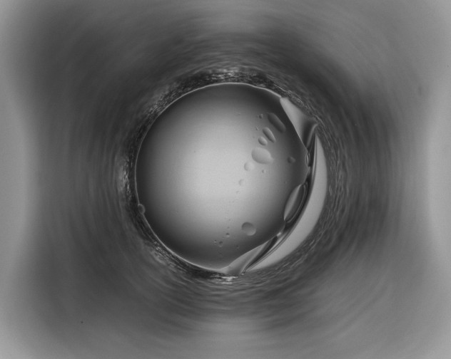 X0000116350754200912091129