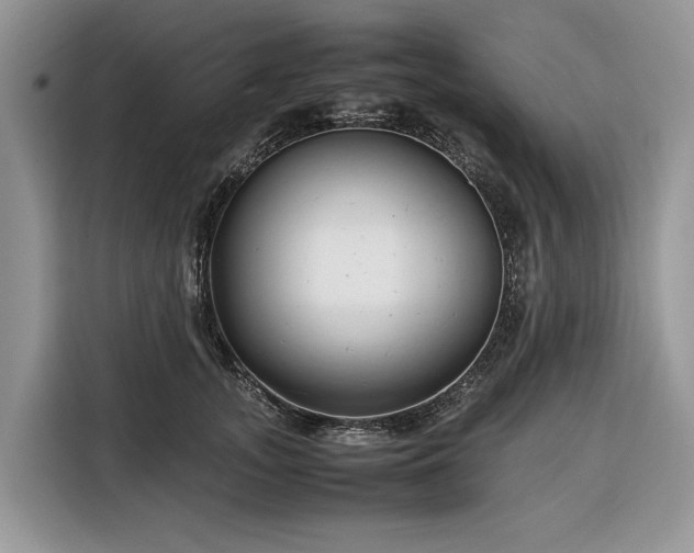 X0000116350755200912091129