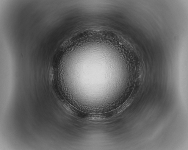 X0000116350758200912091129