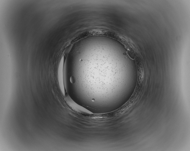 X0000116350759200912091129