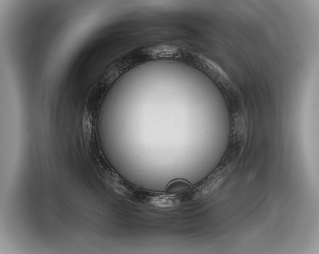 X0000116350761200912091129